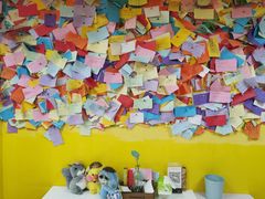 -志龙皇冠吃货椰子铺