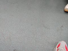 -OL’s Cake鲜荟千层(东风中路店)