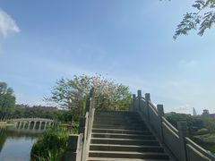-四海公园(南山区)