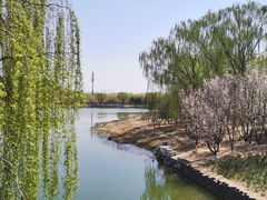 -大兴滨河森林公园