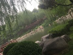 -唐城墙遗址公园