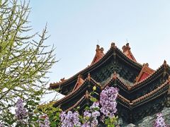 -故宫博物院(故宫)