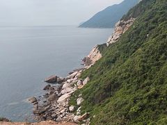 -杨梅坑