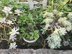 -健跳小海鲜(人民路店)