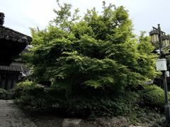 -韩湘水博园