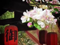 -西安国际创新人才交流中心•药浴温泉