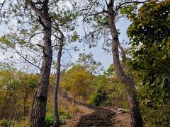 -风云岭森林公园