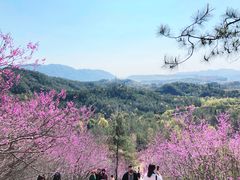 -天台山赤城山景区