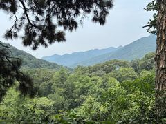 -波尔登森林公园