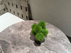 -漫·汤泉