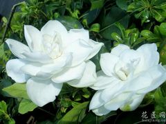 -桤木河湿地公园