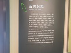 -中国茶叶博物馆(双峰馆区)