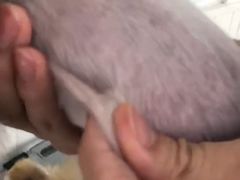 -BABYDOG宝贝狗宠物乐园(欧洲城店)
