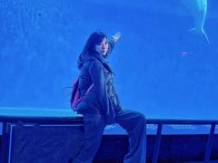 -泉城欧乐堡海洋极地世界