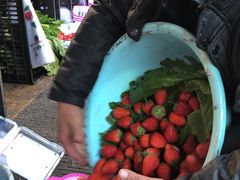 -南坛综合农贸市场