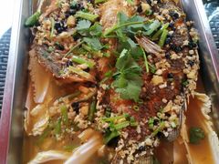 -CoCo都可(吾悦店)