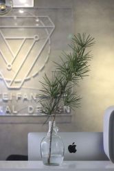 -飛凡TATTOO纹身•原创