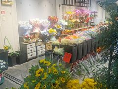 -溪岸路花鸟市场