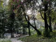 -广州雕塑公园