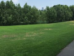 -长白岛森林公园