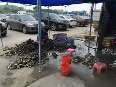 -蚝专家(北滘店)