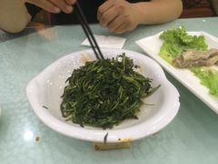 枸杞苗-老毛手抓·盐池滩羊非遗手抓(宁夏总店)