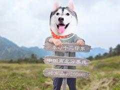 -终南山国家森林公园