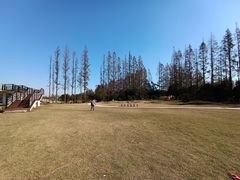 -上海长兴岛郊野公园