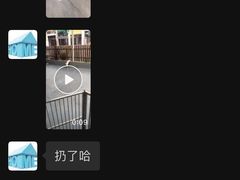 -宠物之家Pets Home 宠物寄养酒店