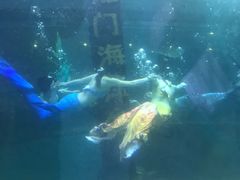 -洛阳龙门海洋馆