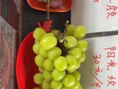 -马陆小张葡萄园农家乐