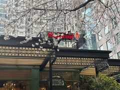 -玛格萝妮比萨屋(四平店)