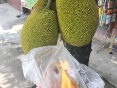 -西双版纳傣族园