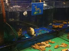 水产区-蓝港海鲜厨房(金水路店)