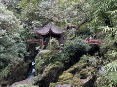 -峨眉山风景名胜区