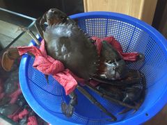 -传统香辣蟹(南园路店)