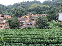-杨家堂村