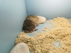 -FAIRYLAND龙族星球主题餐厅(凯丹广场店)