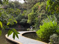 -燕晗山郊野公园