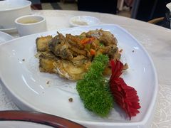 -寻味顺德·南记酒家·传统顺德菜·鱼生(广源路店)