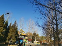 -朝阳公园游乐园