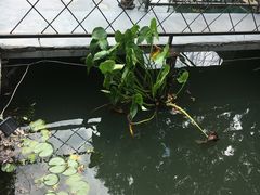 -水岸居湖景农家乐·阳澄湖大闸蟹