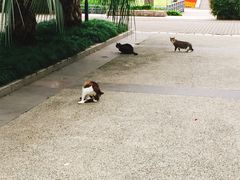 -苏州河梦清园环保主题公园