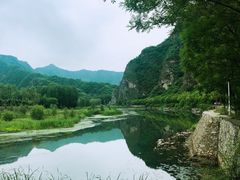 -Local泰莲庭(虹鳟鱼店)