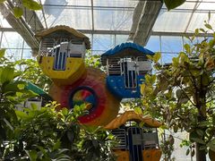 -南宫五洲植物乐园