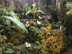 -Paak Dang Riverside 红嘴河畔餐厅