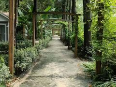 -瀛洲公园
