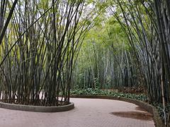 -晓港公园