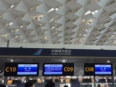 -郑州新郑国际机场-T2航站楼