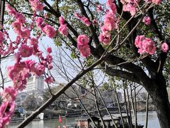-白塘生态植物园